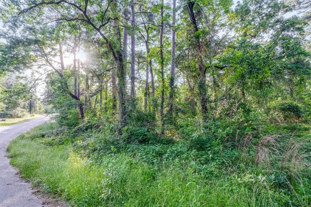 0.17 acres in Henderson County gallery image 3