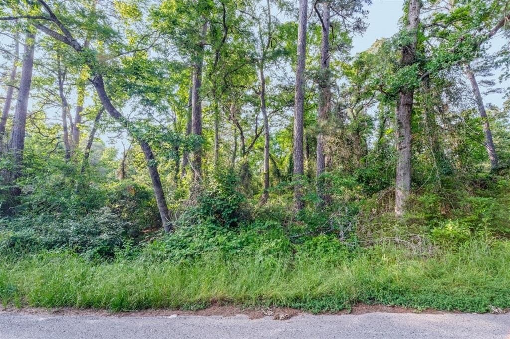 0.17 acres in Henderson County gallery image 2