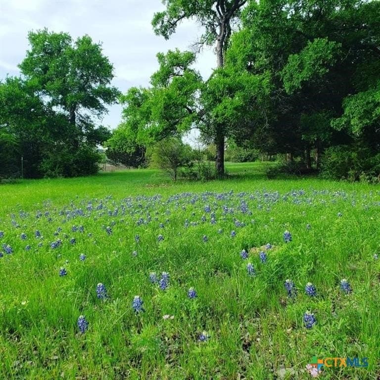 18.47 acres in Burnet County featured view