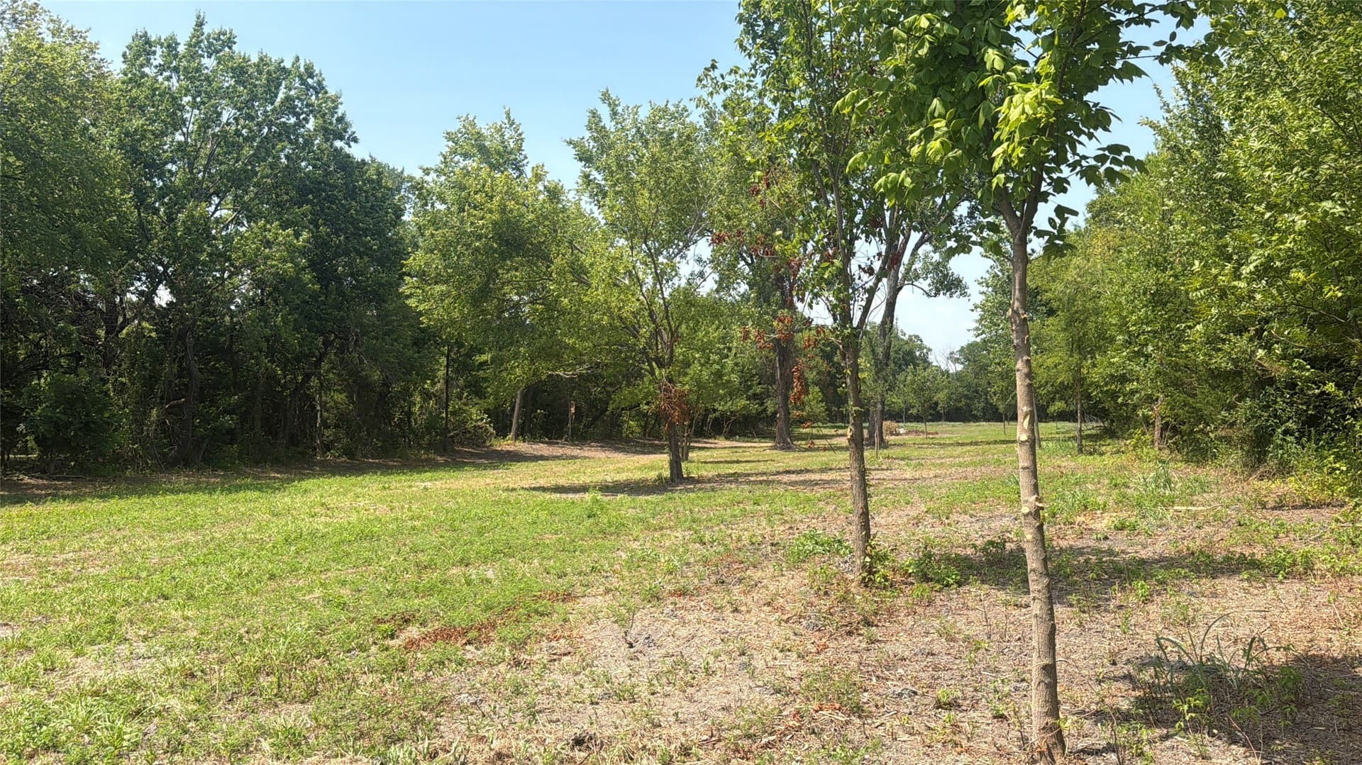 1 acres in Grayson County - photo 7