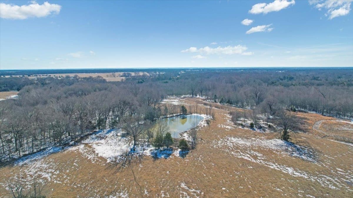 42.97 acres in Fannin County gallery image 4