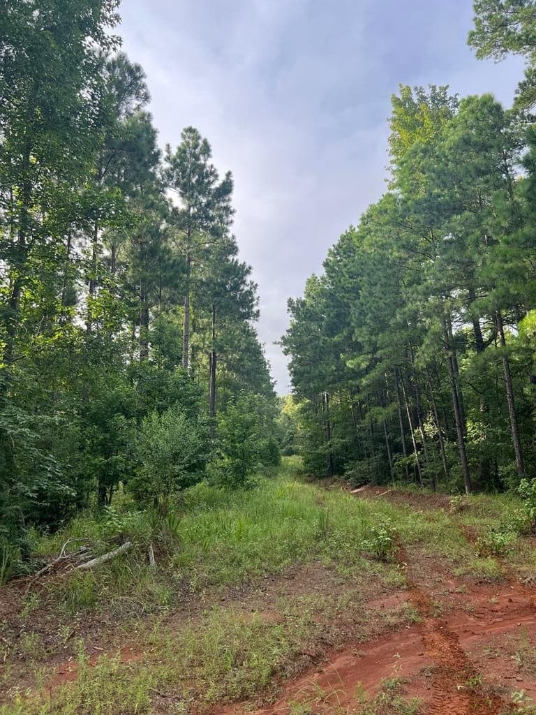 50 acres in ANDERSON County gallery image 3
