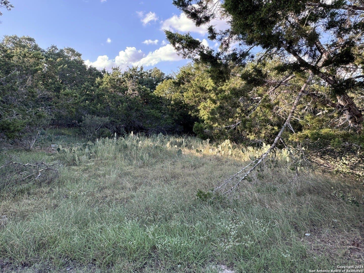 0.32 acres in Comal County - photo 8