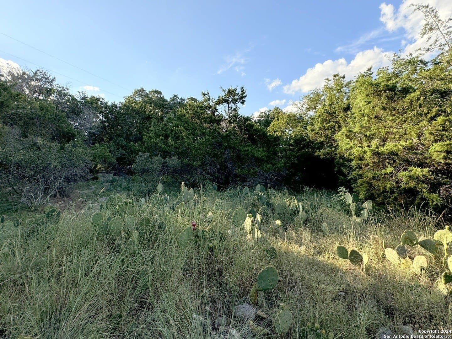 0.32 acres in Comal County gallery image 4