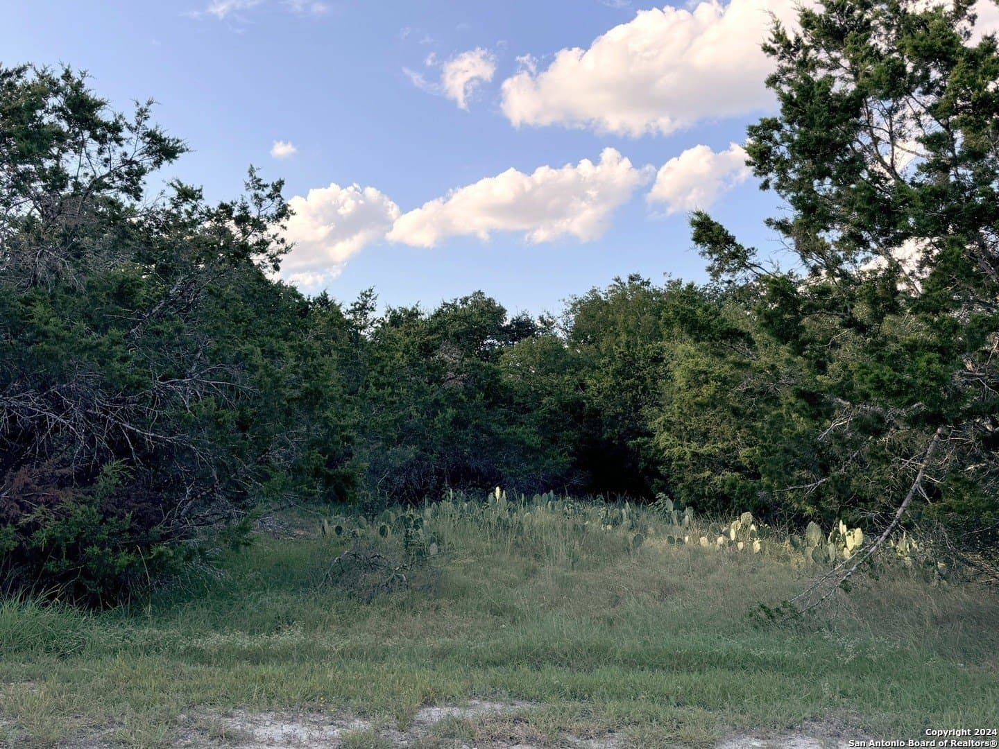 0.32 acres in Comal County featured view