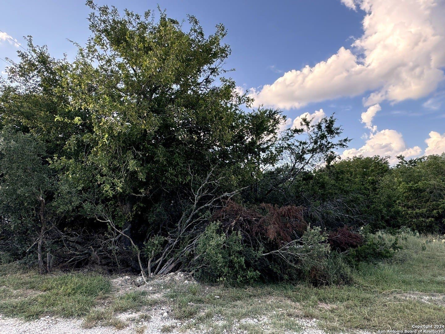 0.32 acres in Comal County - photo 6