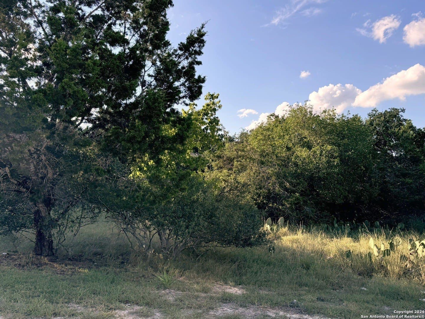 0.32 acres in Comal County