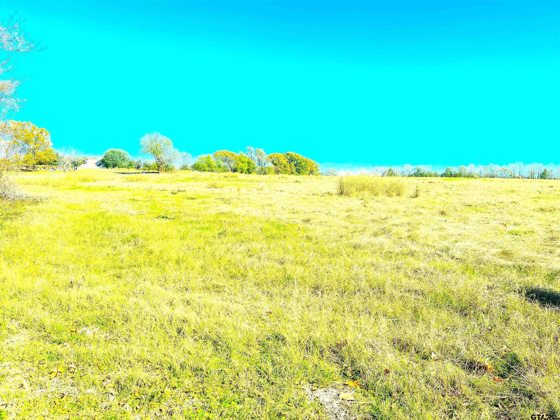 10 acres in Wood County gallery image 3