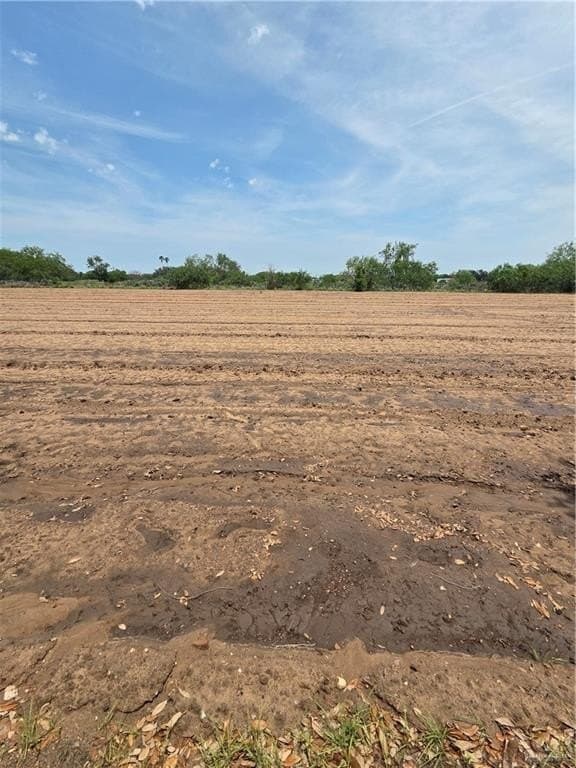 2.96 acres in Hidalgo County gallery image 3