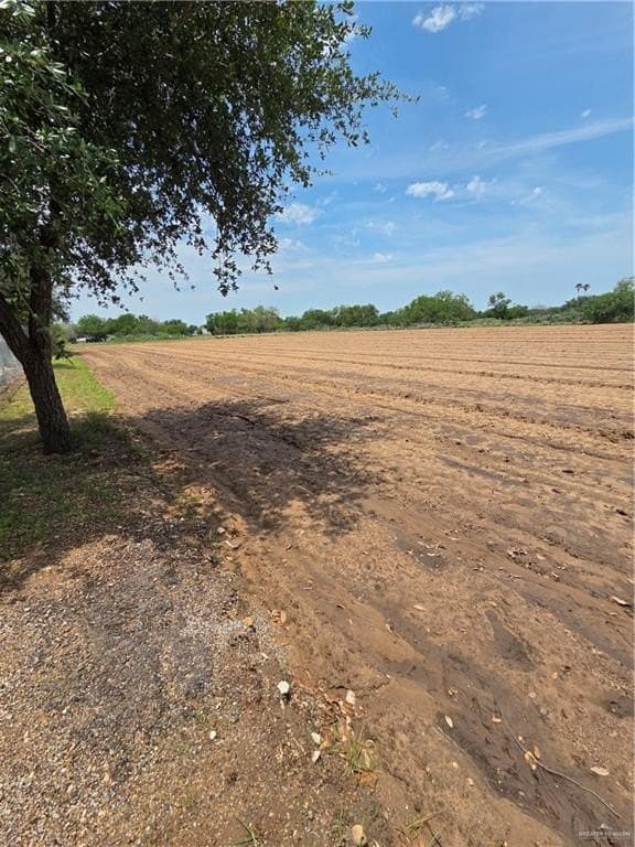 2.96 acres in Hidalgo County gallery image 2