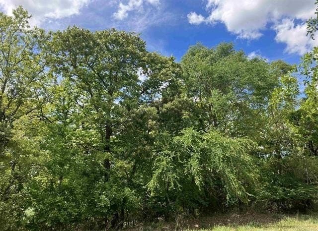 1.35 acres in Smith County - photo 5