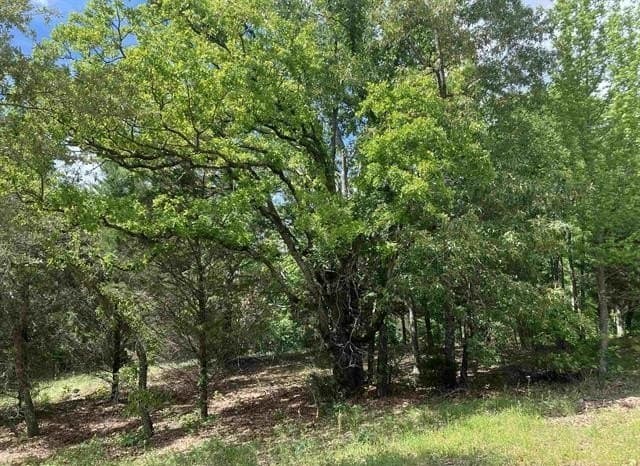 1.35 acres in Smith County - photo 6