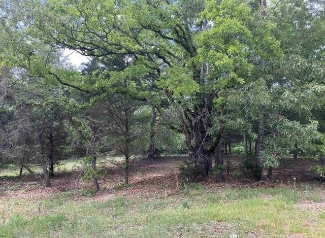 1.35 acres in Smith County - photo 3