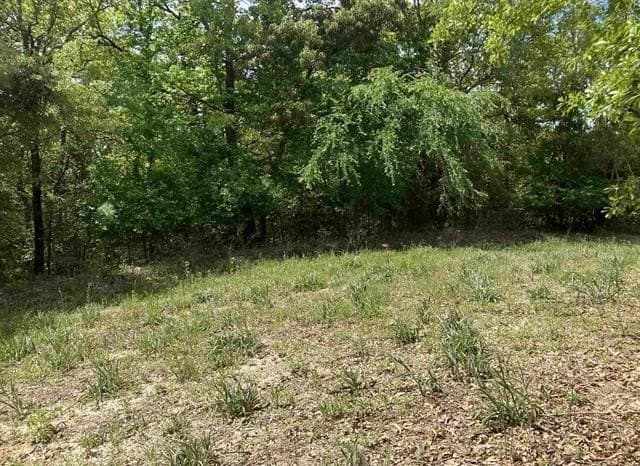 1.35 acres in Smith County - photo 4