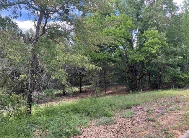 1.35 acres in Smith County - photo 2