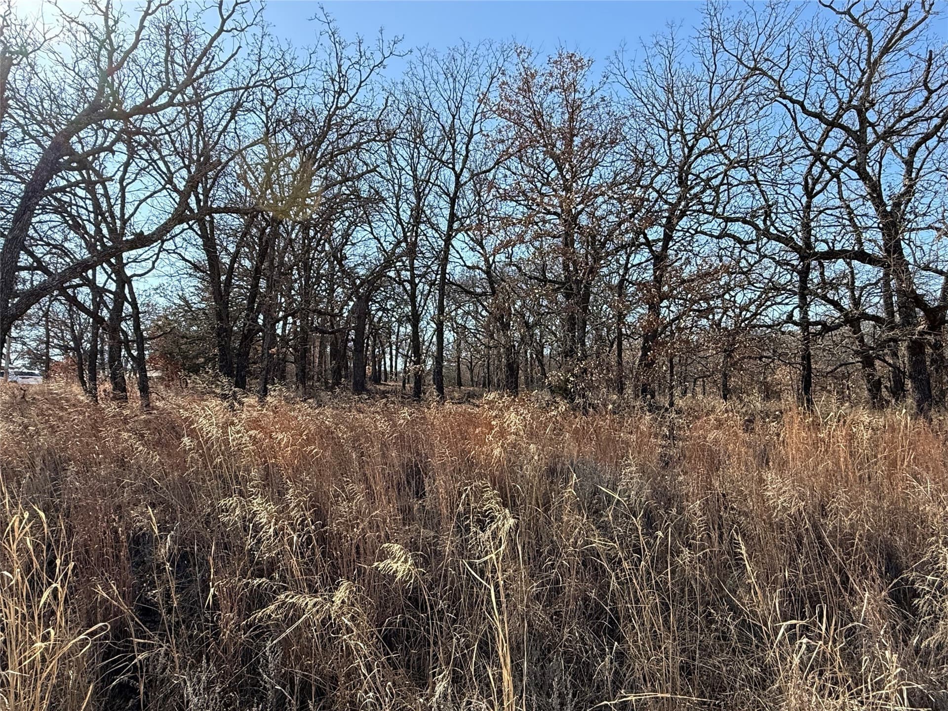 0.29 acres in Montague County featured view