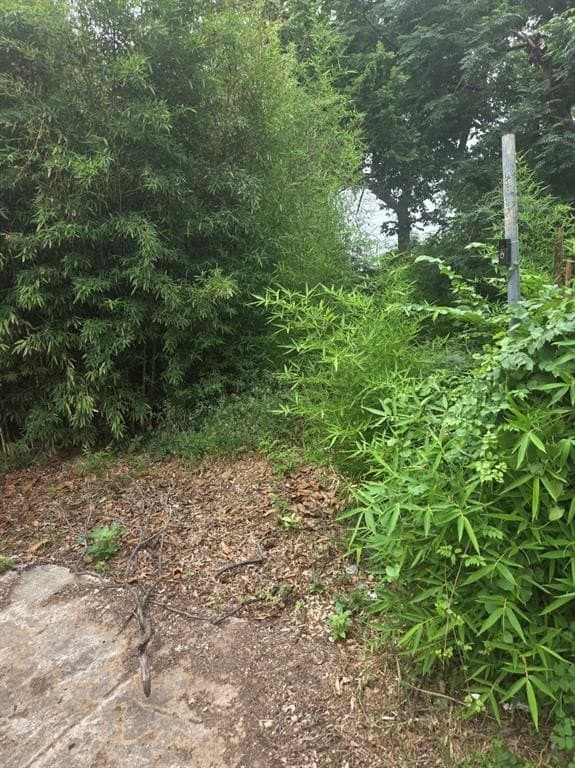 0.04 acres in Dallas County gallery image 2