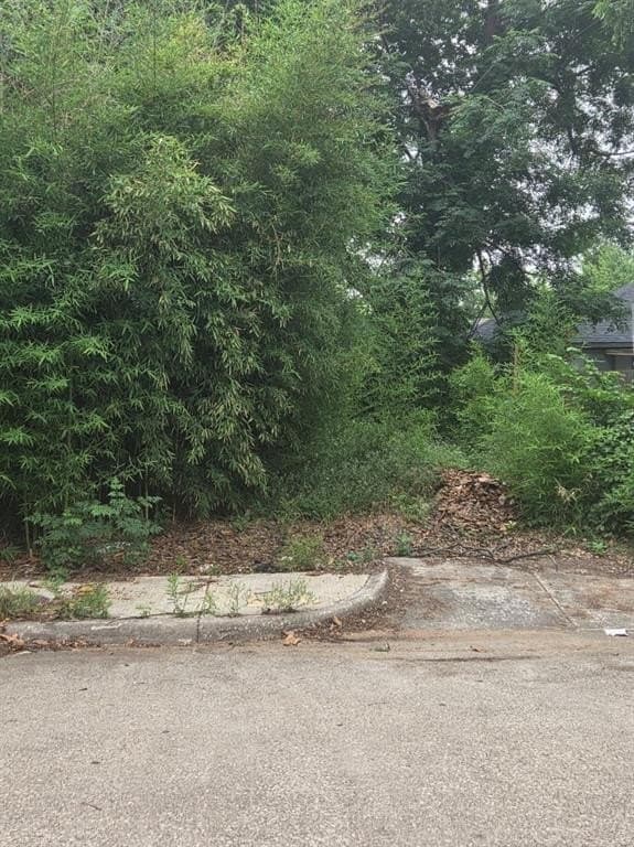 0.04 acres in Dallas County gallery image 3