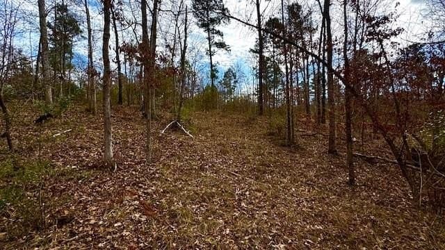 10.01 acres in Anderson County gallery image 3