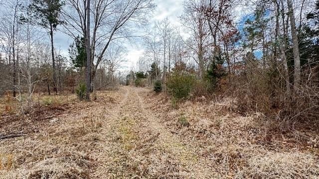 10.01 acres in Anderson County gallery image 2