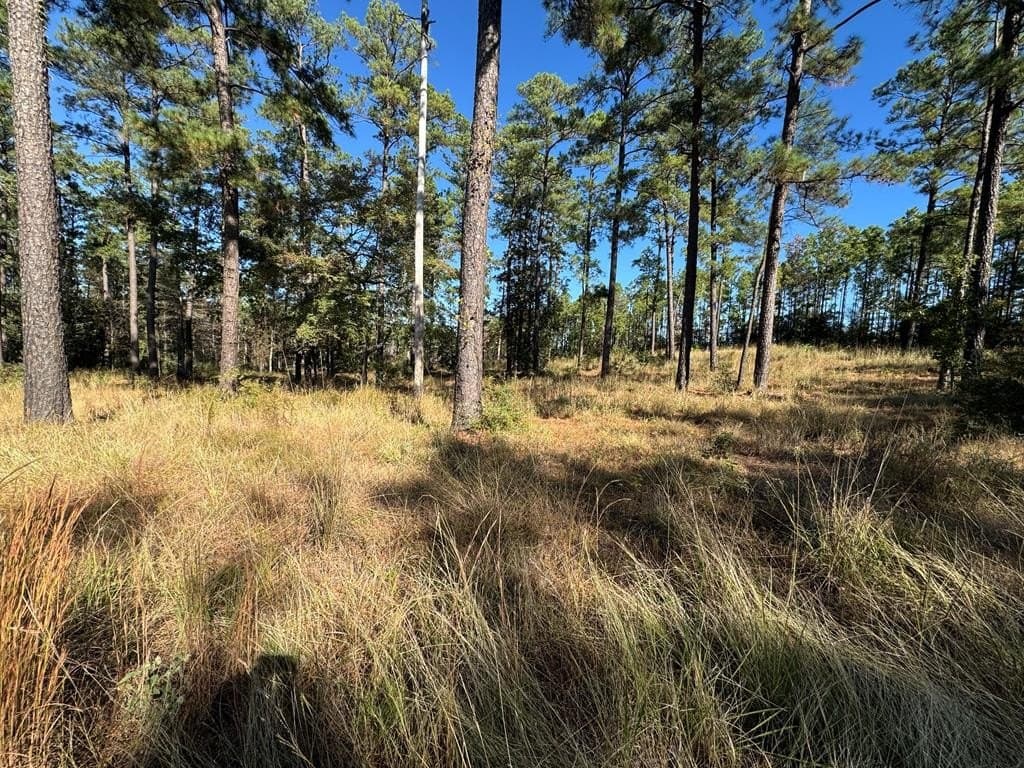 1.3 acres in Texas County