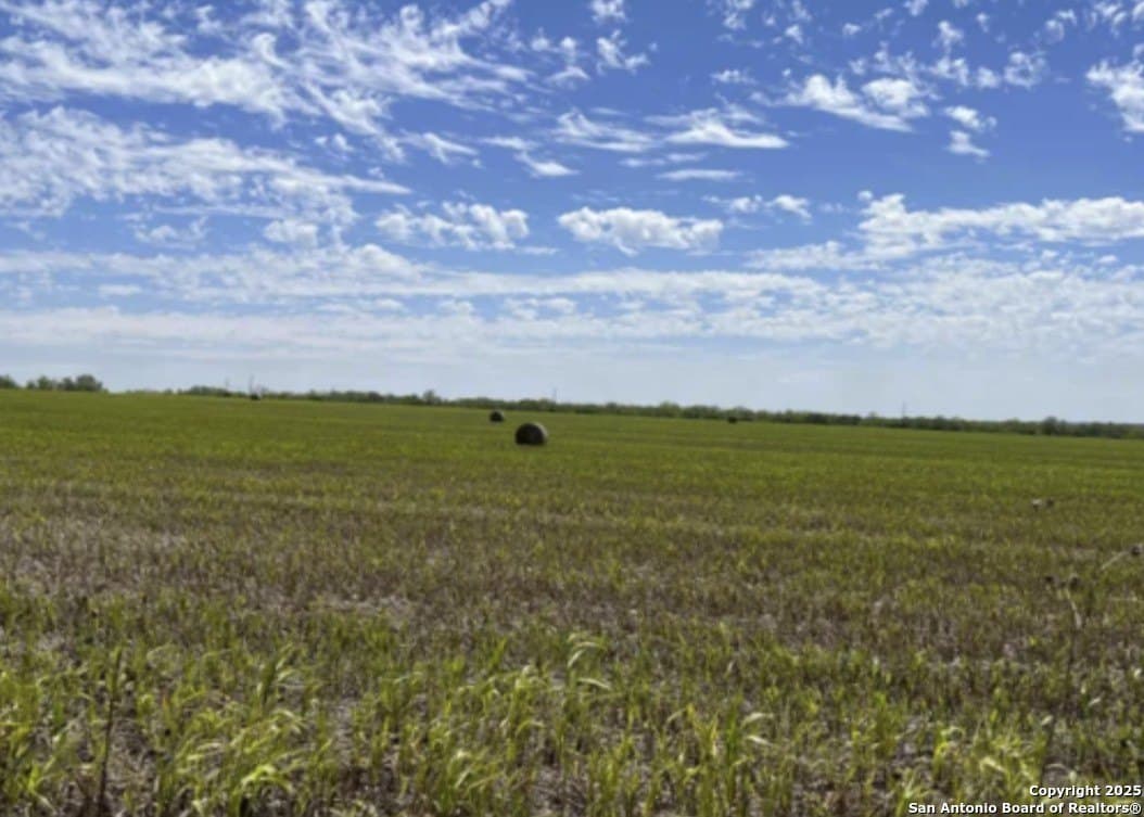 10.47 acres in Bexar County gallery image 2