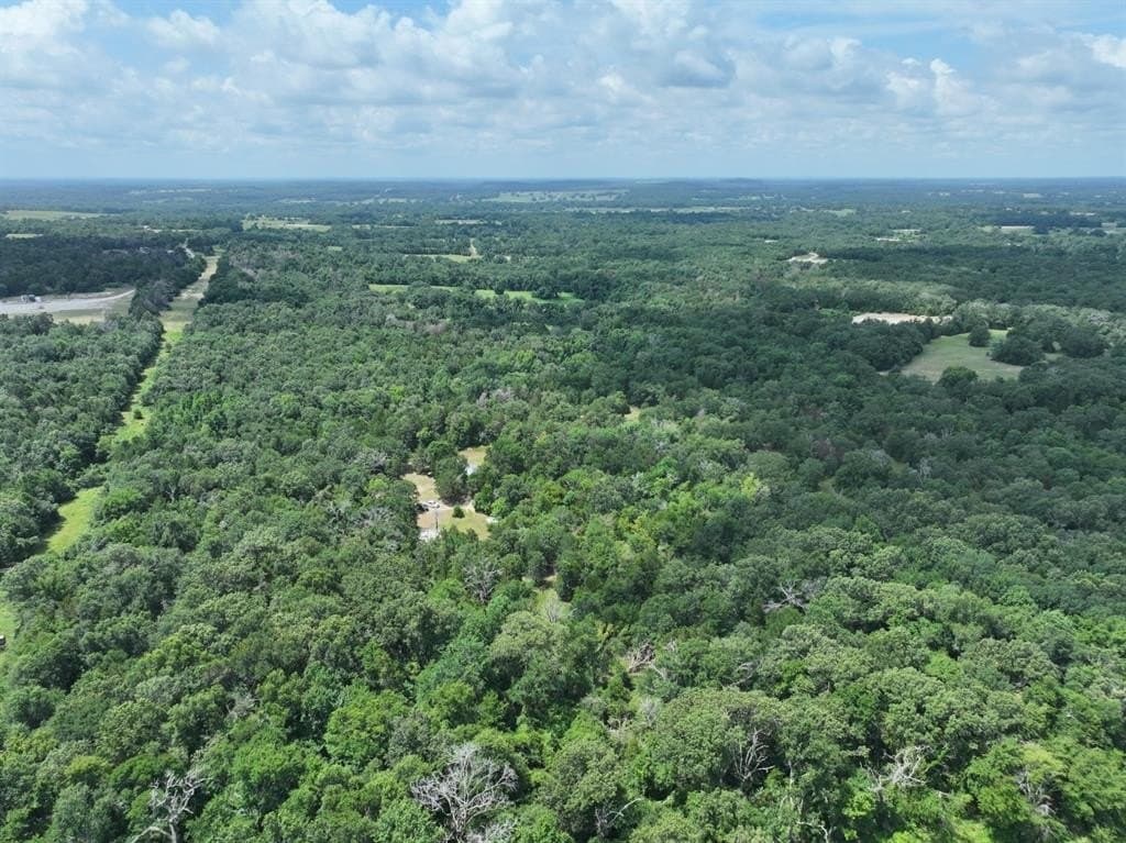 33.76 acres in Freestone County gallery image 4