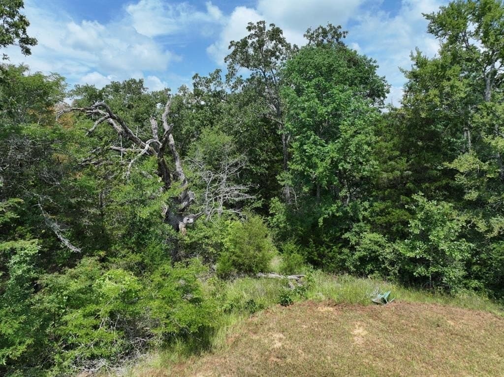33.76 acres in Freestone County featured view