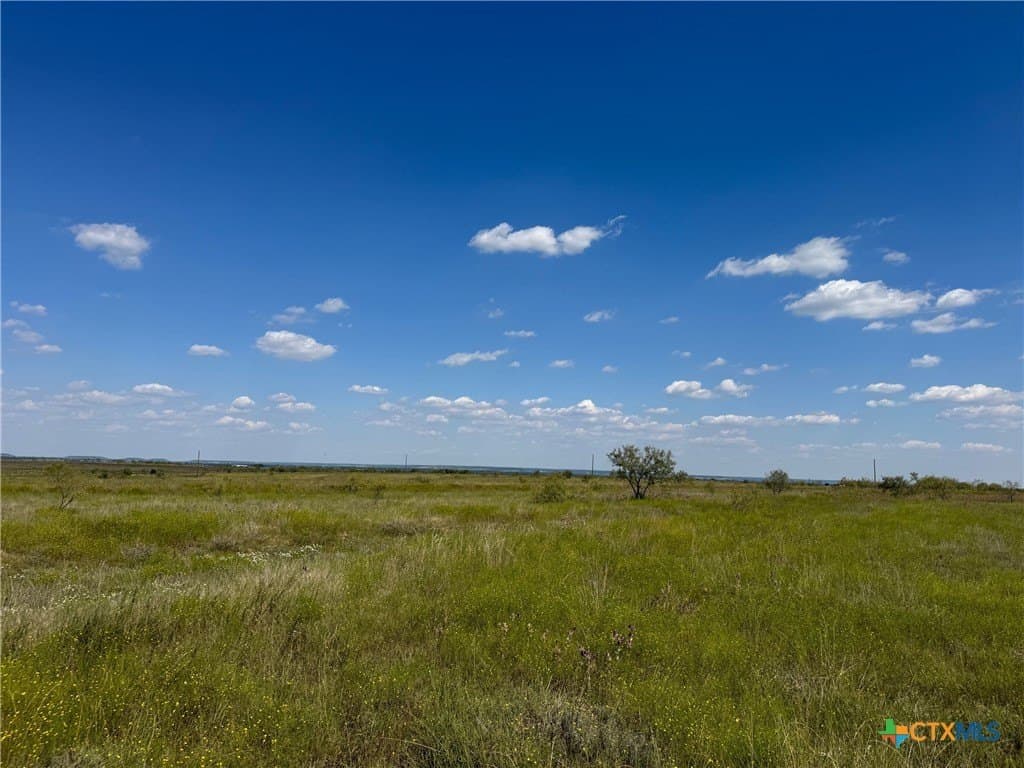 33.66 acres in Coryell County featured view