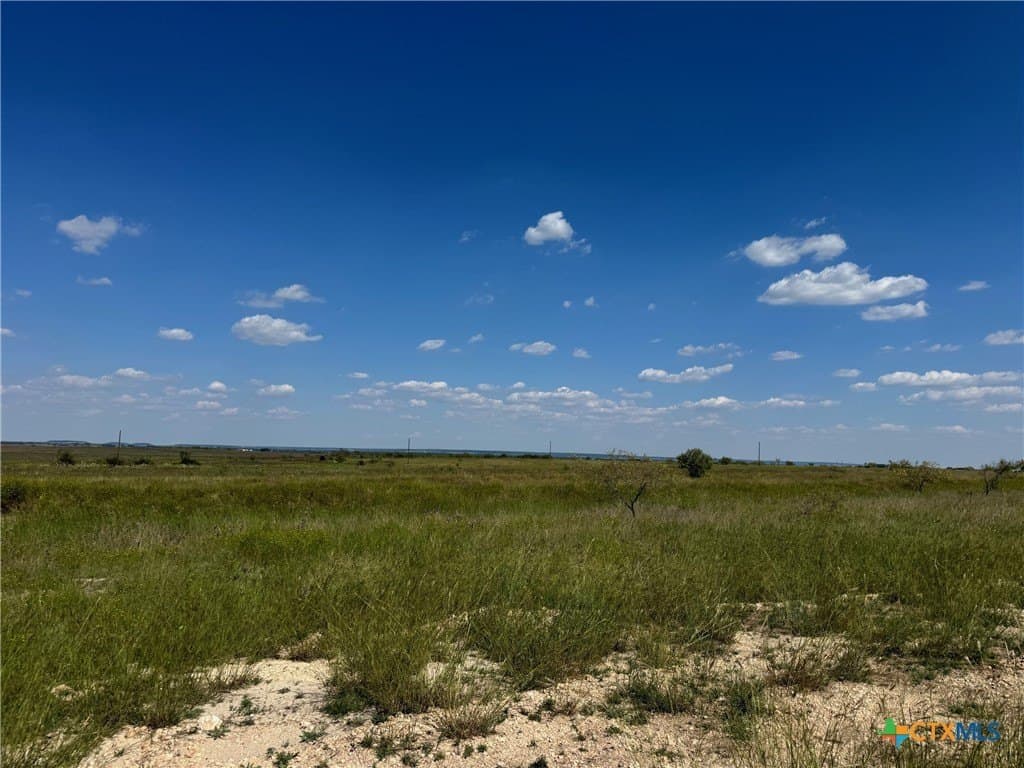 33.66 acres in Coryell County gallery image 2