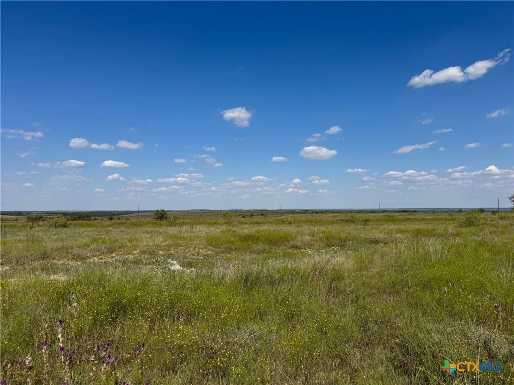33.66 acres in Coryell County gallery image 4