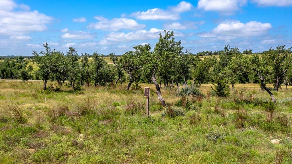 2.19 acres in Gillespie County - photo 2