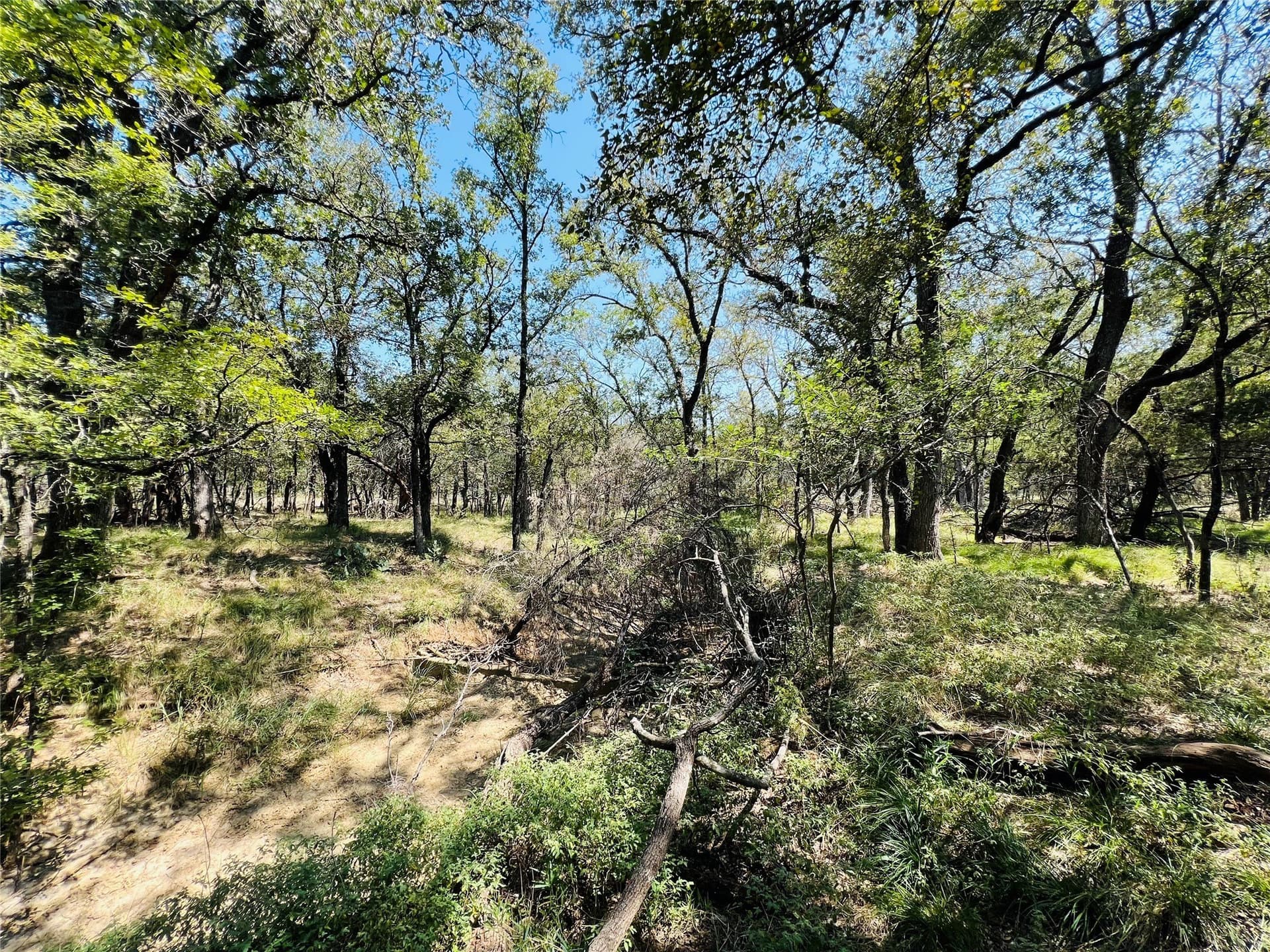 10 acres in Palo Pinto County - photo 10