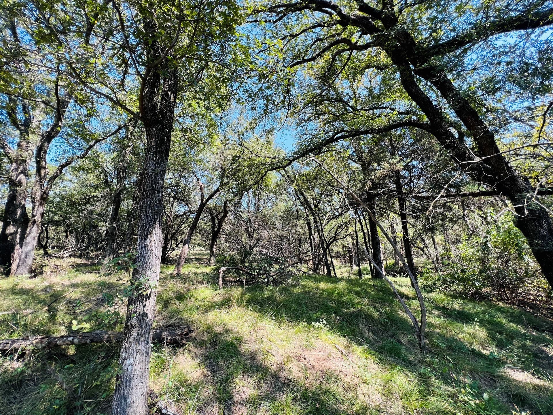 10 acres in Palo Pinto County - photo 8