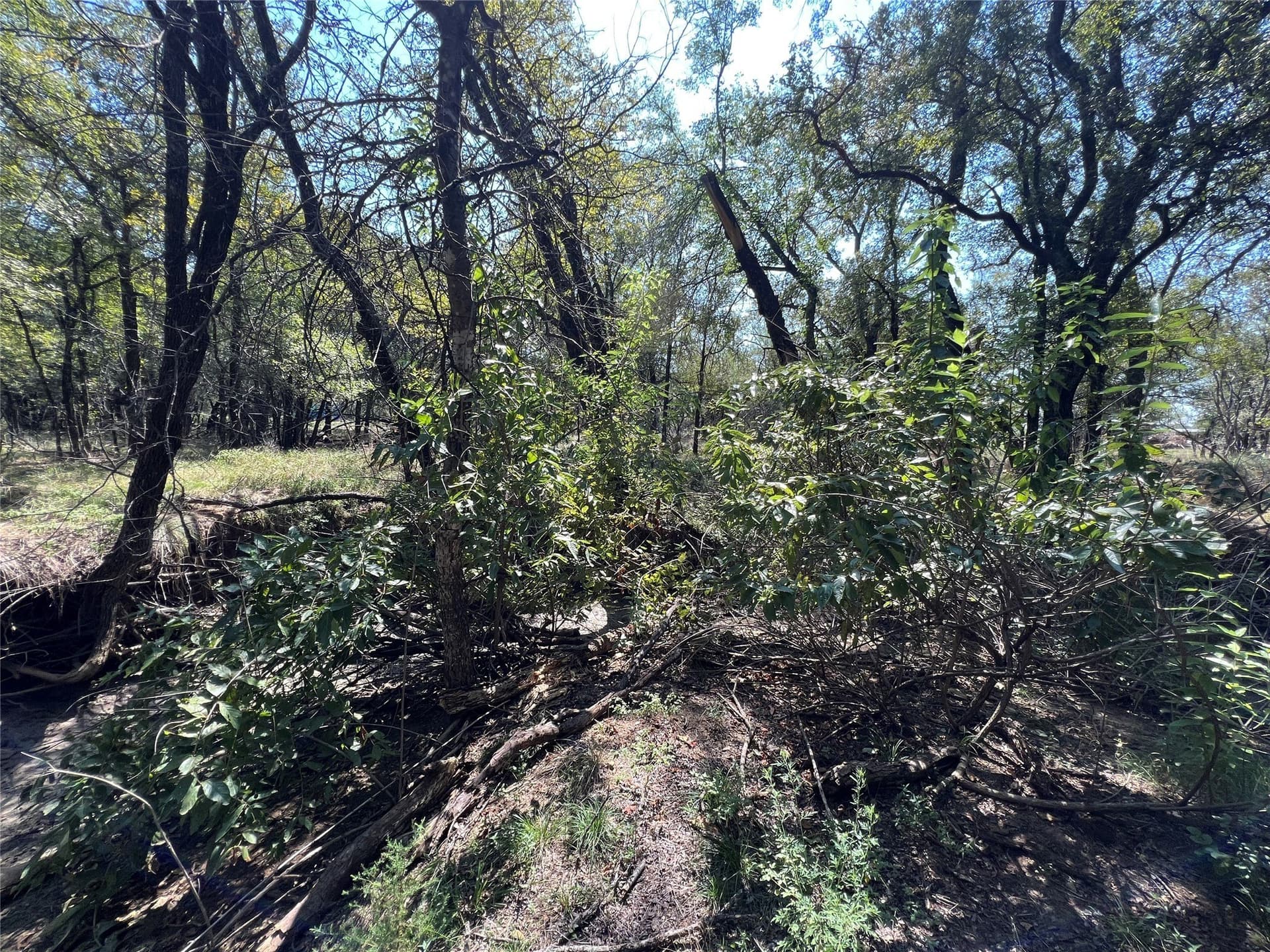 10 acres in Palo Pinto County - photo 11