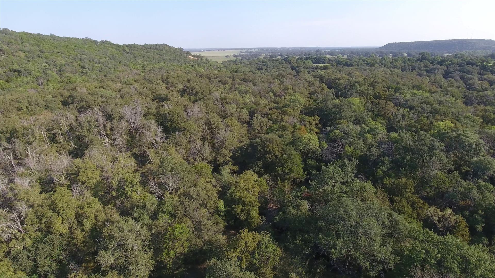 10 acres in Palo Pinto County - photo 37