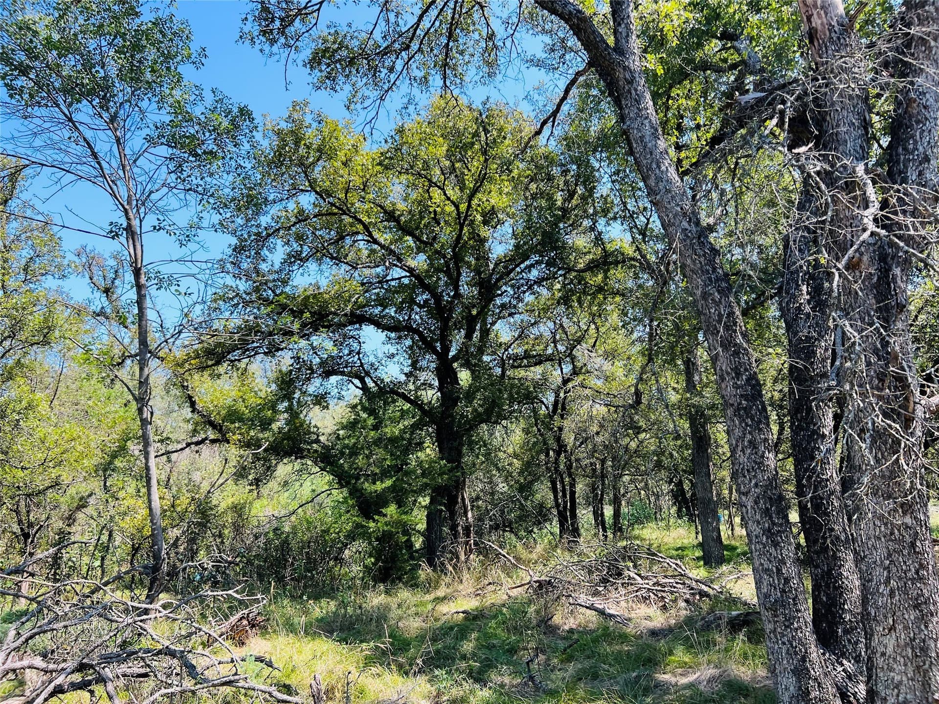 10 acres in Palo Pinto County - photo 3