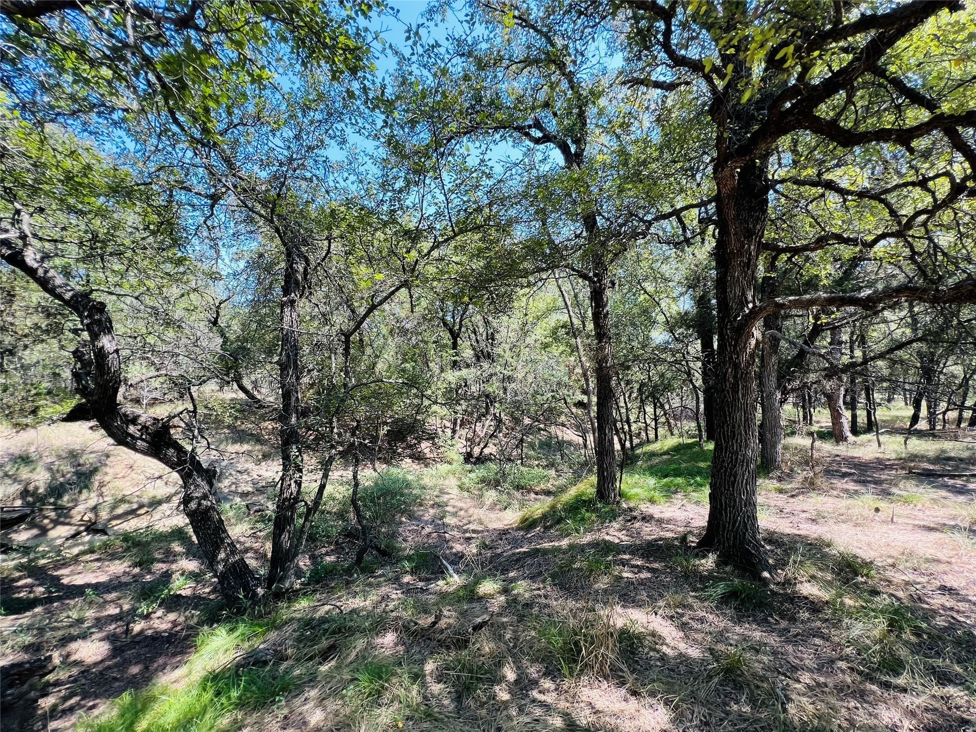 10 acres in Palo Pinto County - photo 13