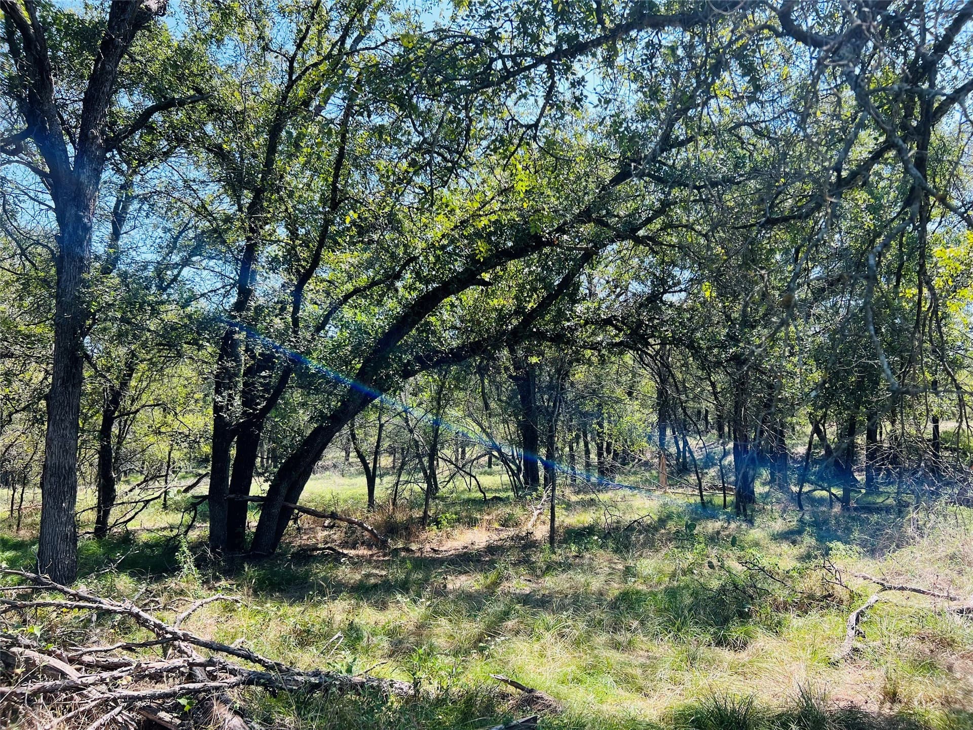 10 acres in Palo Pinto County - photo 2