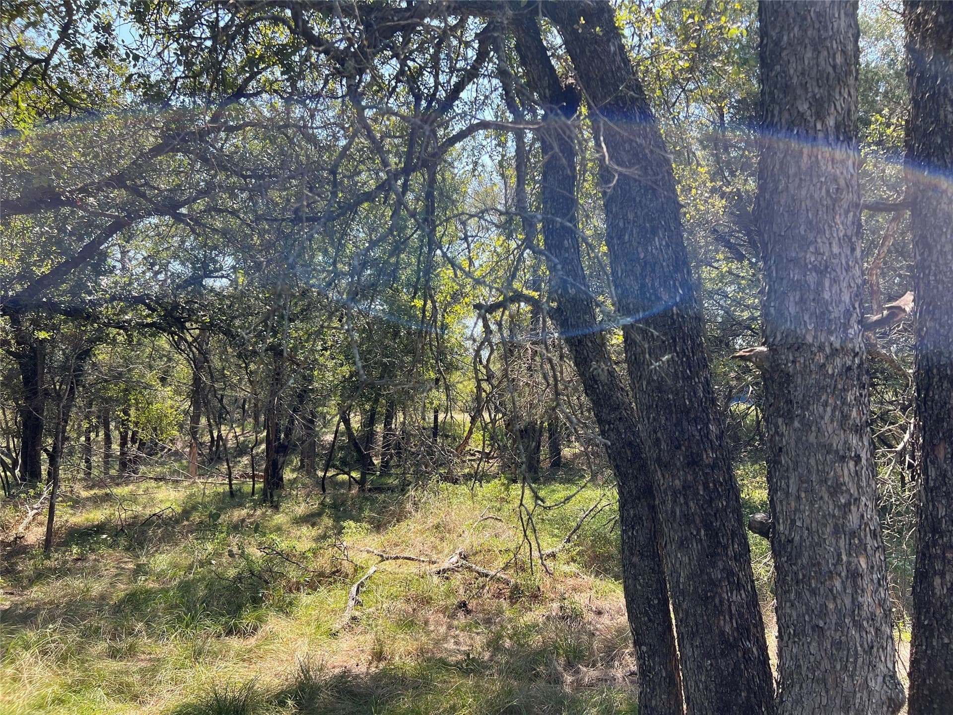 10 acres in Palo Pinto County - photo 19