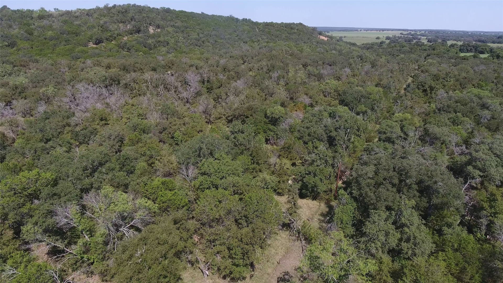 10 acres in Palo Pinto County - photo 26