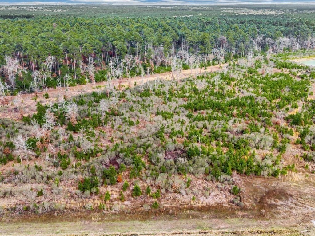 20 acres in Texas County featured view