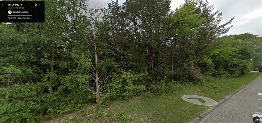 0.17 acres in Grayson County gallery image 4