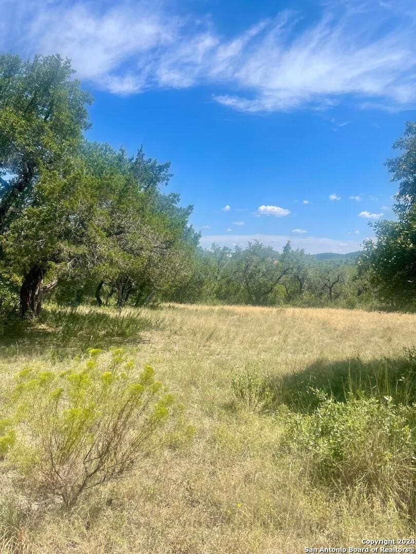 1.16 acres in Medina County gallery image 4