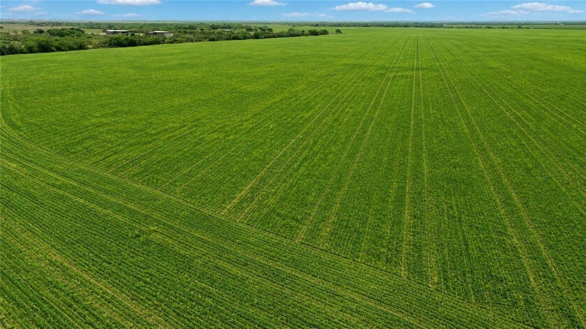10 acres in Nueces County - photo 6