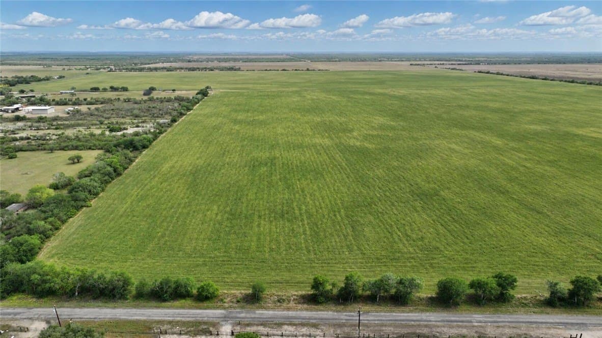 10 acres in Nueces County gallery image 3
