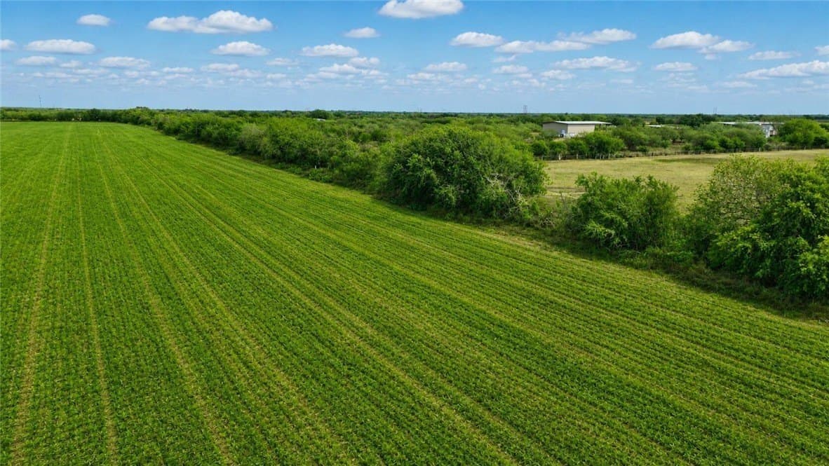 10 acres in Nueces County - photo 7