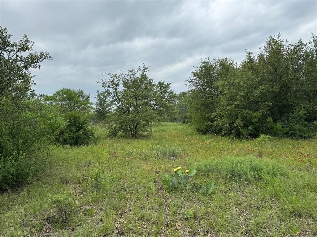 2.02 acres in Palo Pinto County gallery image 4