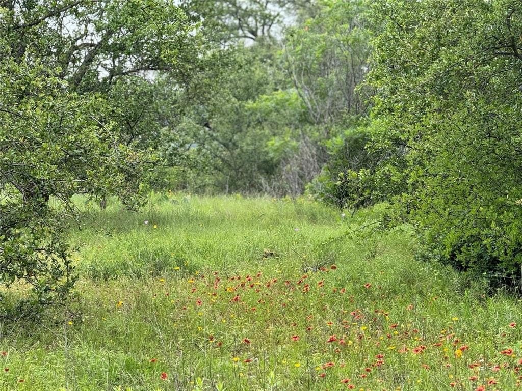 2.02 acres in Palo Pinto County featured view
