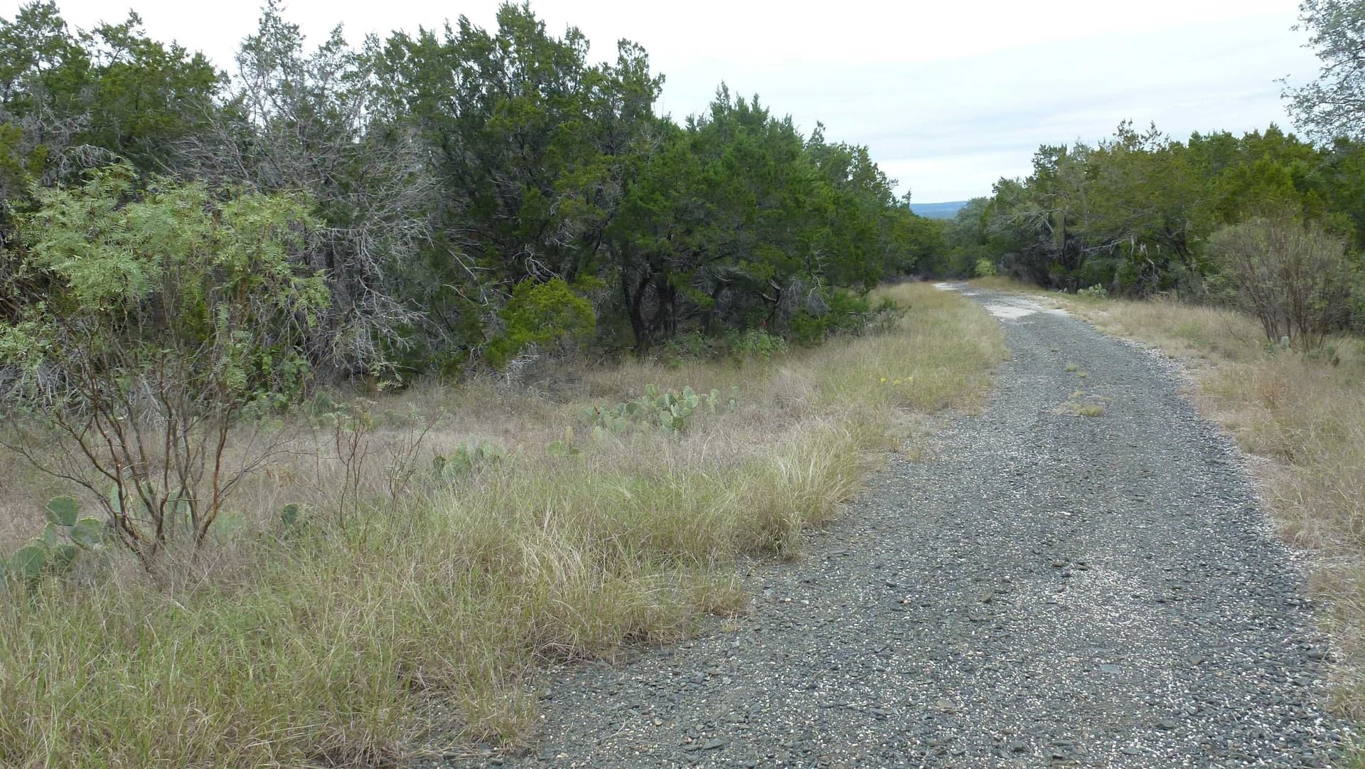 0.25 acres in Burnet County gallery image 3